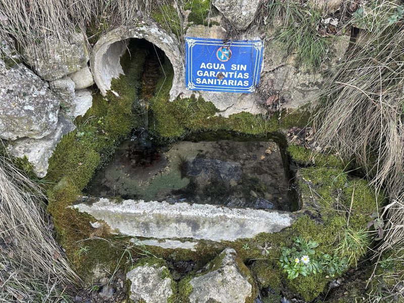 Estado actual (2026)